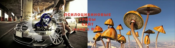 а пвп мука Абаза