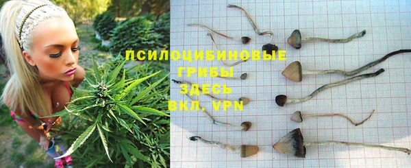 не бодяженный Алзамай